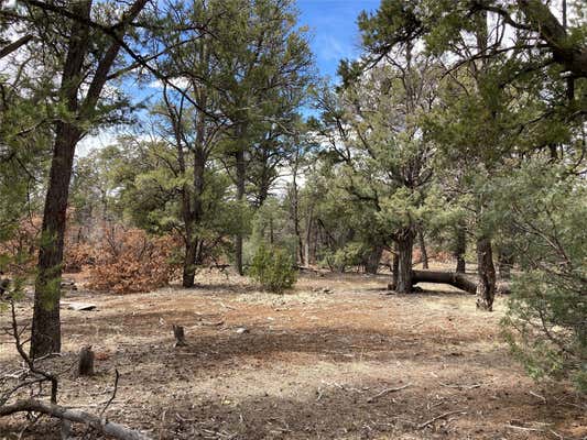 TBD TALAVERA UNIT 1 LOT 14, TIERRA AMARILLA, NM 87575 - Image 1