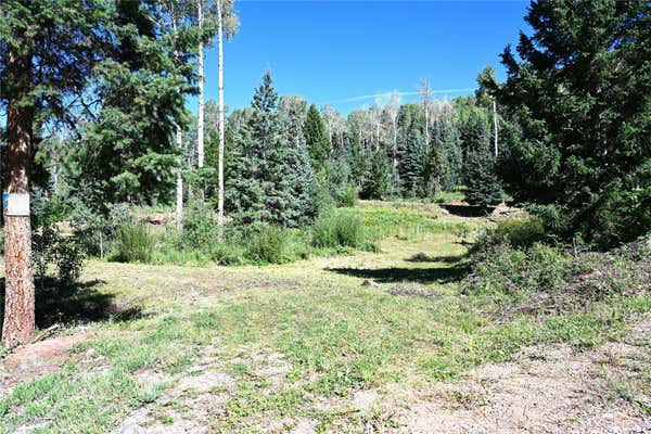 3 CANYONS END, CHAMA, NM 87520 - Image 1