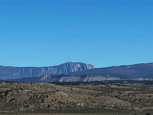 TBD PAJARITO ROAD, TIERRA AMARILLA, NM 87551 - Image 1