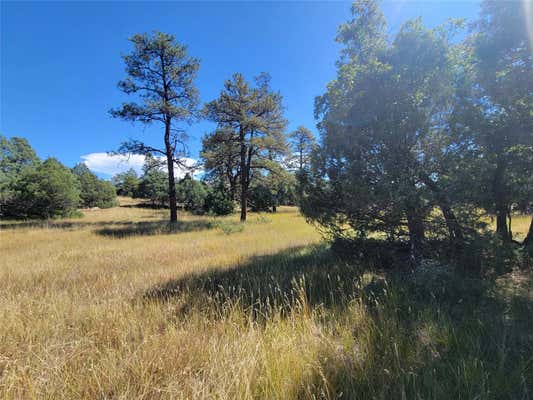 1 RIM DR, LOS OJOS, NM 87551 - Image 1