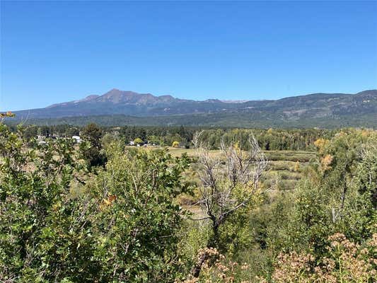 TBD LARKSPUR, CHAMA, NM 87520 - Image 1