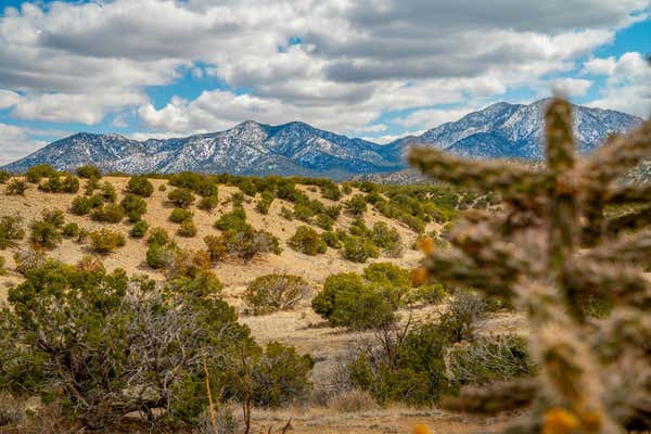 101 SENDERO DE TOHO, CERRILLOS, NM 87010, photo 3 of 58