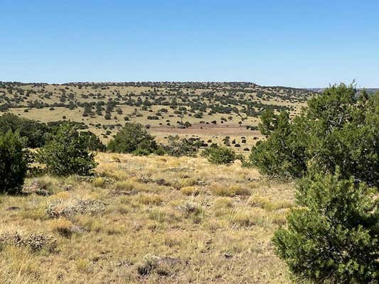 LOTS 2 & 5 RED HILL WEST SUBD., QUEMADO, NM 87829 - Image 1