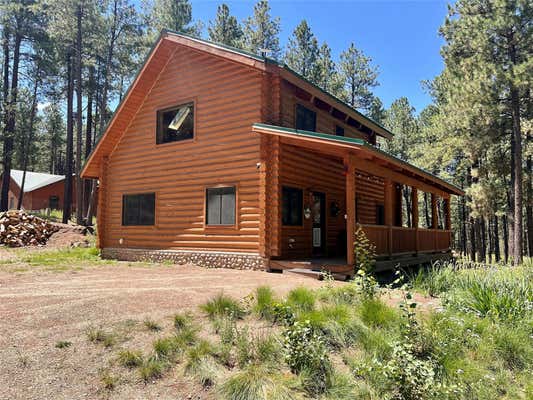 20 OUTLIERS RD, JEMEZ SPRINGS, NM 87025 - Image 1