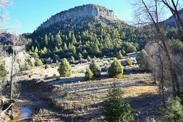 00 CR 352, CHAMA, NM 87528 - Image 1