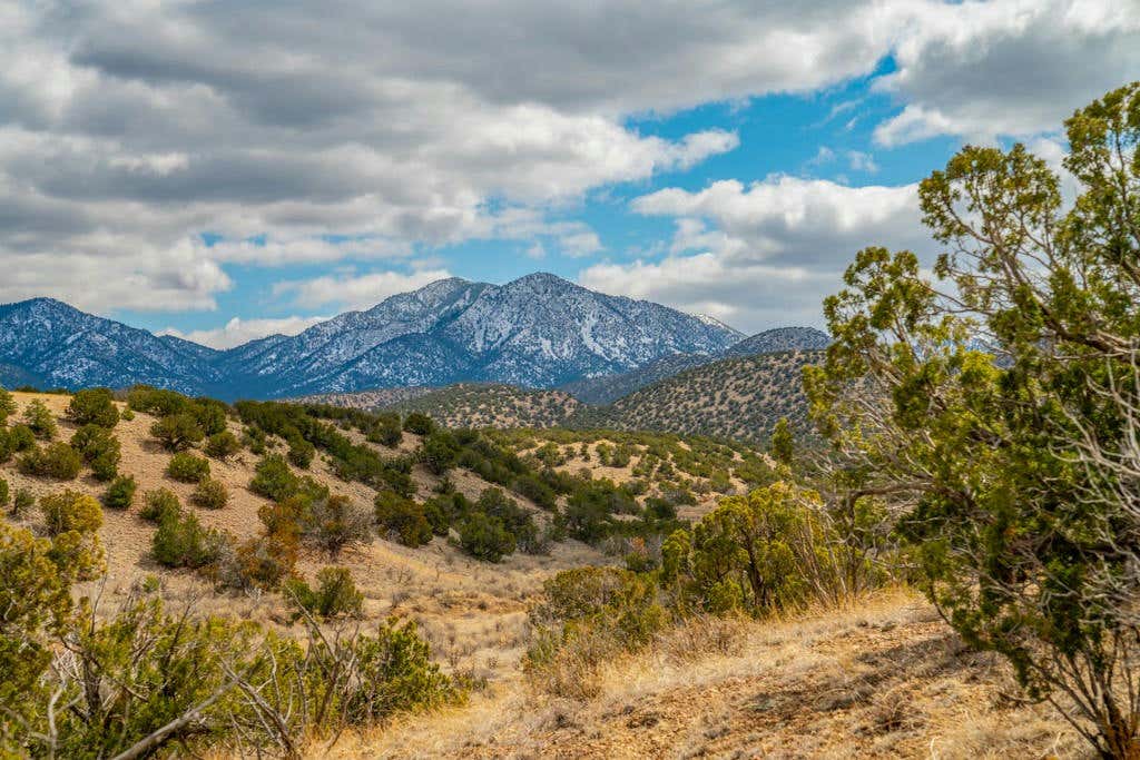 101 SENDERO DE TOHO, CERRILLOS, NM 87010, photo 1 of 58