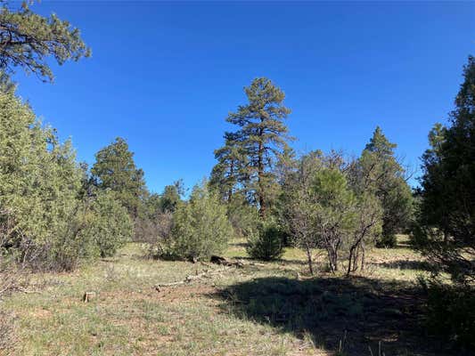 TBD RIM DRIVE LOTS 70 & 71, RUTHERON, NM 87551 - Image 1