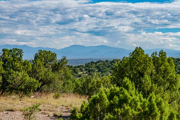 95 GRENFELL RANCH & 30 BLUE AGAVE, CERRILLOS, NM 87010 - Image 1