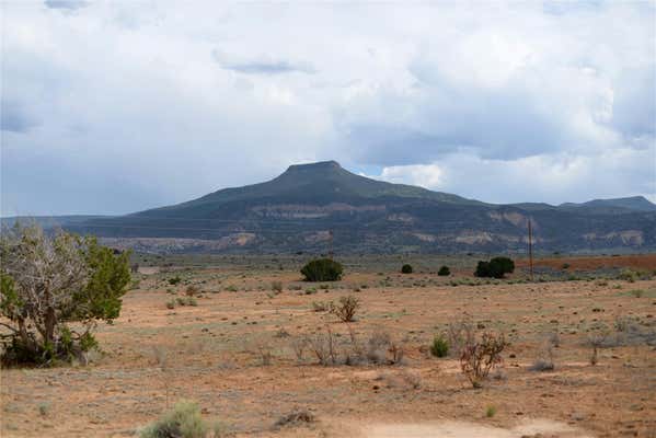 LOT 21 & 22 PRIVATE DRIVE 1725, ABIQUIU, NM 87064 - Image 1