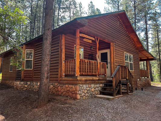 34 TALL PINE, CHAMA, NM 87520 - Image 1