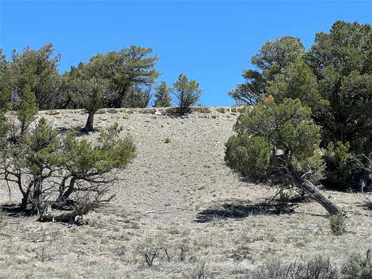 TBD BUENA VISTA ROAD, TIERRA AMARILLA, NM 87575 - Image 1