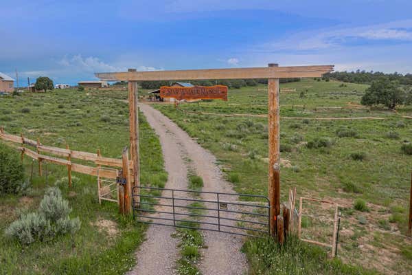 118 STATE ROAD 95, LOS OJOS, NM 87551 - Image 1