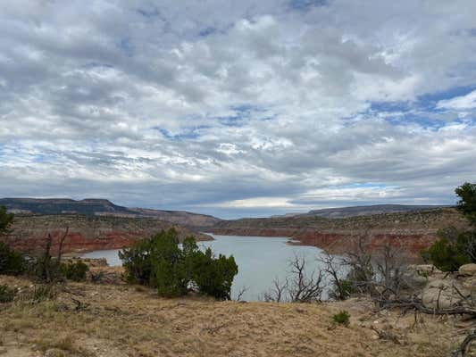 LOT 161 RD 1721, ABIQUIU, NM 87510 - Image 1