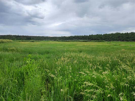 TBD STATE RD 531, TIERRA AMARILLA, NM 87575 - Image 1