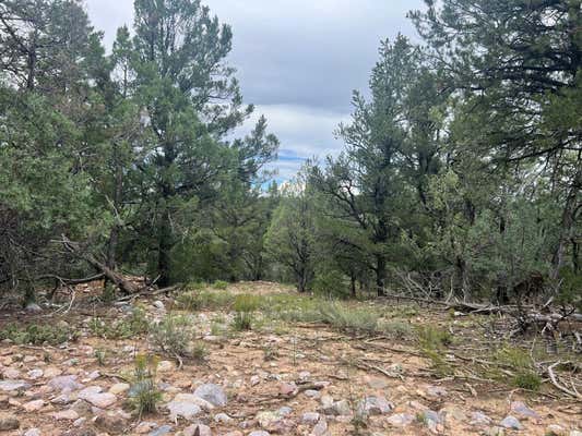 8-A AND 8-B TALAVERA LN, TIERRA AMARILLA, NM 87575 - Image 1