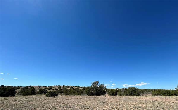 TBD 37-A EL RITO ESTATES, ABIQUIU, NM 87510 - Image 1