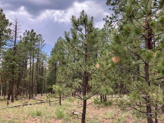 23 ACRES, PECOS, NM 87552 - Image 1