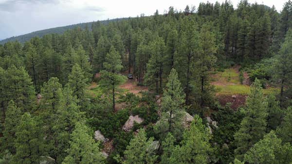 TBD BOULDERS, CHAMA, NM 87520 - Image 1