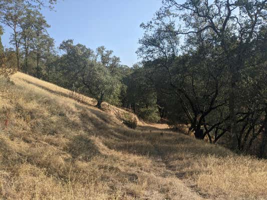 LOT 13 HAPPY VALLEY TRAIL, COTTONWOOD, CA 96022, photo 5 of 13