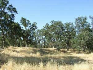 OAK RUN RD, MILLVILLE, CA 96062 - Image 1