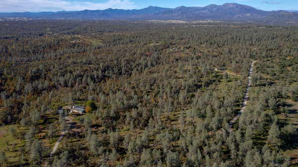 40 ACRES HEAVENLY VALLEY LANE, ANDERSON, CA 96007 - Image 1