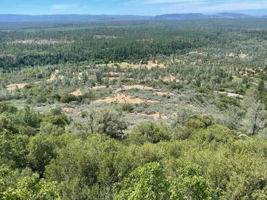 40 ACRES, WHITMORE, CA 96069 - Image 1