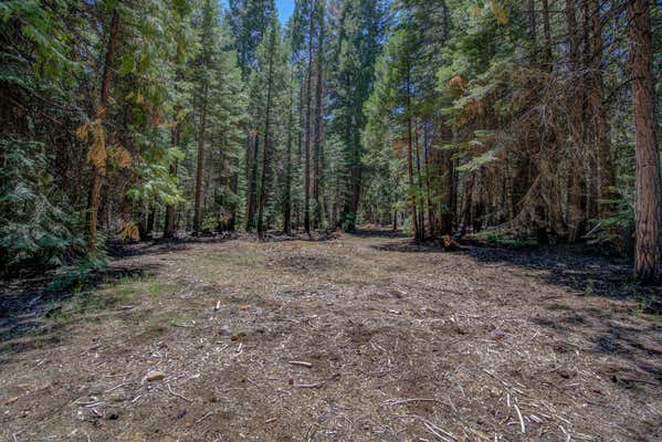 LOT 9 EMIGRANT TRAIL, SHINGLETOWN, CA 96088 - Image 1