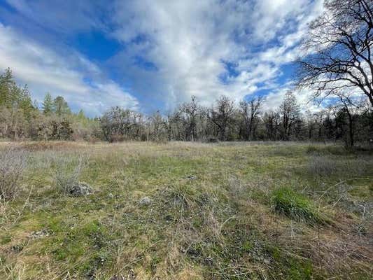 160 ACRES DONKEY MINE AND MADISON, OAK RUN, CA 96069 - Image 1