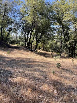 SEAMAN GULCH RD, BELLA VISTA, CA 96008, photo 5 of 16