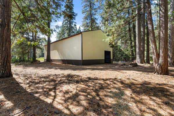 32995 ALINN PASS RD, SHINGLETOWN, CA 96088 - Image 1