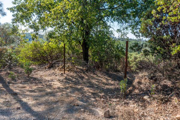 SEAMAN GULCH RD, BELLA VISTA, CA 96008, photo 2 of 16