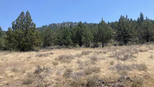 LOT 73 PROUTY WAY, ADIN, CA 96006 - Image 1