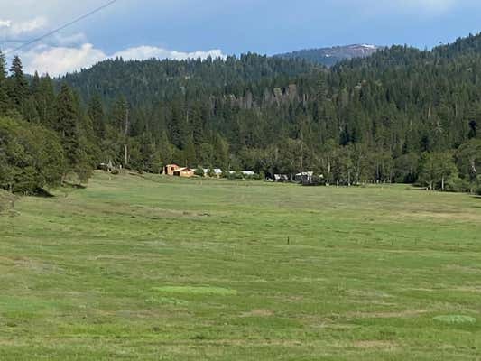 1040 MULLANE TRAIL, BIG BAR, CA 96010 - Image 1