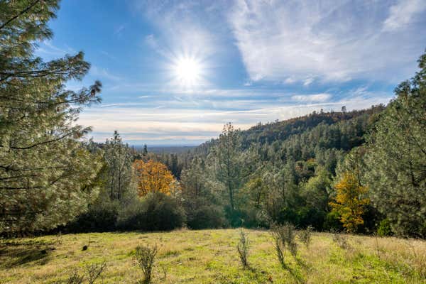 21 ACRES ESTEP RIDGE ROAD, OAK RUN, CA 96069 - Image 1