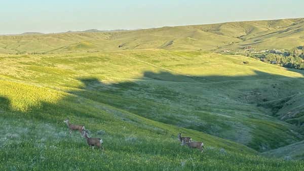 TRACT 36 CARRINGTON WAY, SHERIDAN, WY 82801 - Image 1