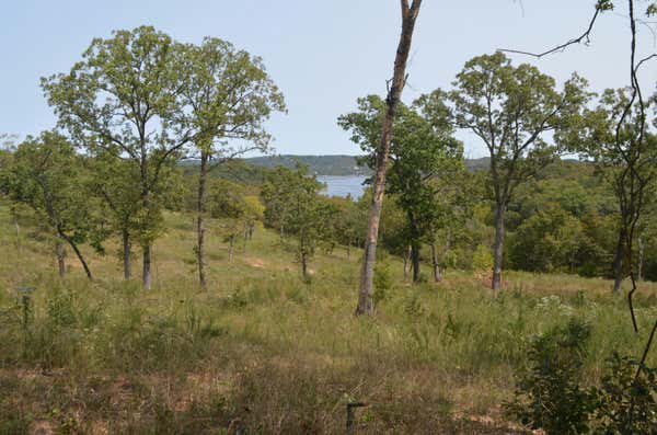 1 BREAD TRAY MOUNTAIN RD, LAMPE, MO 65681 - Image 1