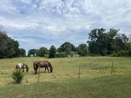 000 WOODLAND STREET, TANEYVILLE, MO 65759 - Image 1