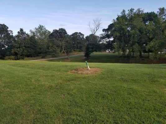 LOT 14 FOX HAVEN DRIVE, MT VERNON, MO 65712 - Image 1