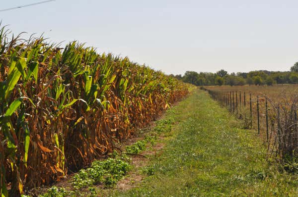 000 HIGHWAY KK, BOLIVAR, MO 65613 - Image 1