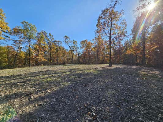 TRACT 5 COBLE LANE, ANDERSON, MO 64831 - Image 1