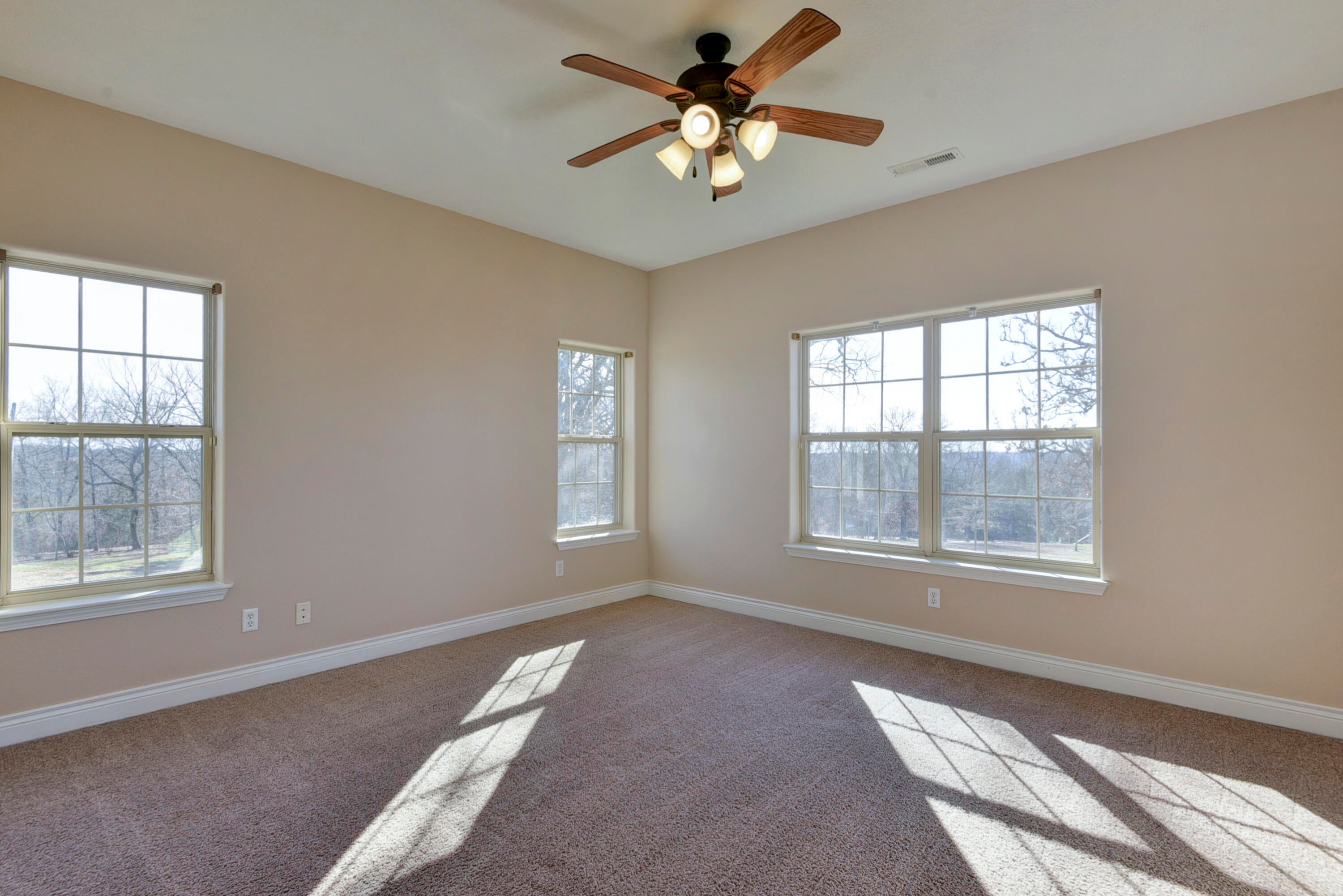 Reeds Spring, Missouri, 65737, United States, 8 Bedrooms Bedrooms, ,6 BathroomsBathrooms,Residential,Active,2010156