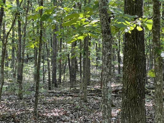 LOT 1 COUNTY ROAD 113, ALTON, MO 65606, photo 2 of 9