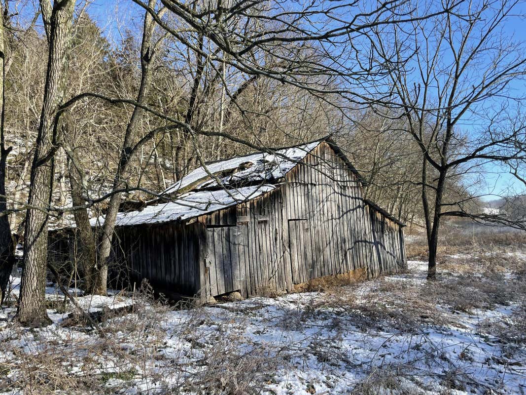 000 WATER FORK ROAD, PINEVILLE, MO 64856, photo 1 of 11