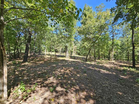 TRACT 4 C CREEKWOOD LANE, ANDERSON, MO 64831, photo 4 of 17