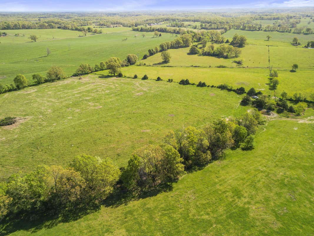 000 COUNTY ROAD 372, DORA, MO 65637, photo 1 of 32