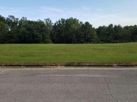 LOT 11 FOX HAVEN DRIVE, MT VERNON, MO 65712, photo 4 of 9