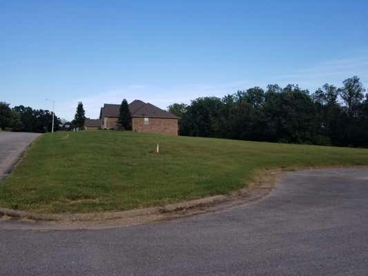 LOT 11 FOX HAVEN DRIVE, MT VERNON, MO 65712, photo 3 of 9