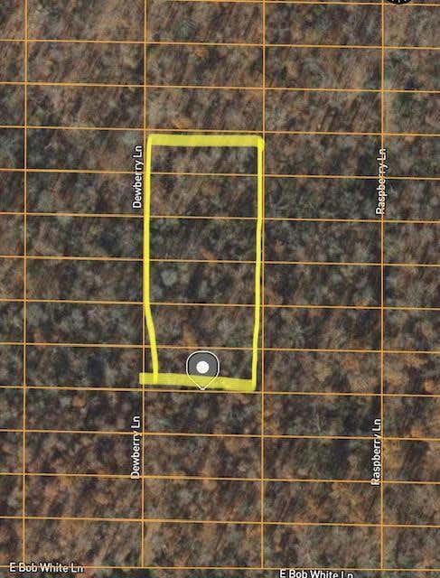 1308 DEWBERRY LN Unit 1318  