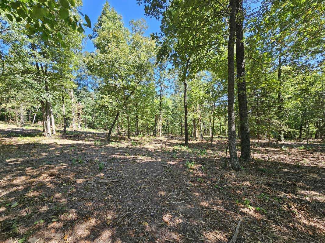 TRACT 4 C CREEKWOOD LANE, ANDERSON, MO 64831, photo 1 of 17