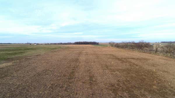 38.8 ACRES ELDER RD ROAD, PIERCE CITY, MO 65723, photo 4 of 21